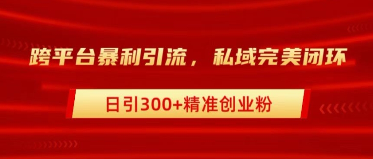 跨平台暴力引流，私域完美闭环，日引100+精准创业粉-番茄副业网