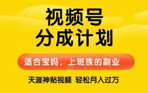 视频号分成计划,天涯贴视频,赚收益,轻松月入过万,操作简单,适合宝妈,上班族-番茄副业网