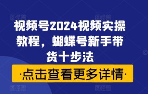 视频号2024视频实操教程,蝴蝶号新手带货十步法-番茄副业网