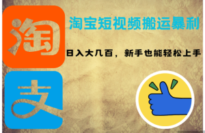 （12449期）淘宝短视频搬运暴利攻略：日入大几百，新手也能轻松上手！-番茄副业网