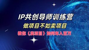 IP共创导师训练营,做项目不如卖项目,教你(卖项目)如何实现年入百万-番茄副业网