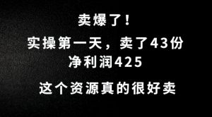这个资源，需求很大，实操第一天卖了43份，净利润425【揭秘】-番茄副业网