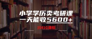 (12556期)小学学历卖考研课程,一天收5600(附3580G考研合集)-番茄副业网