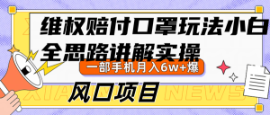 维权赔付口罩玩法，小白也能月入6w+，风口项目实操-番茄副业网