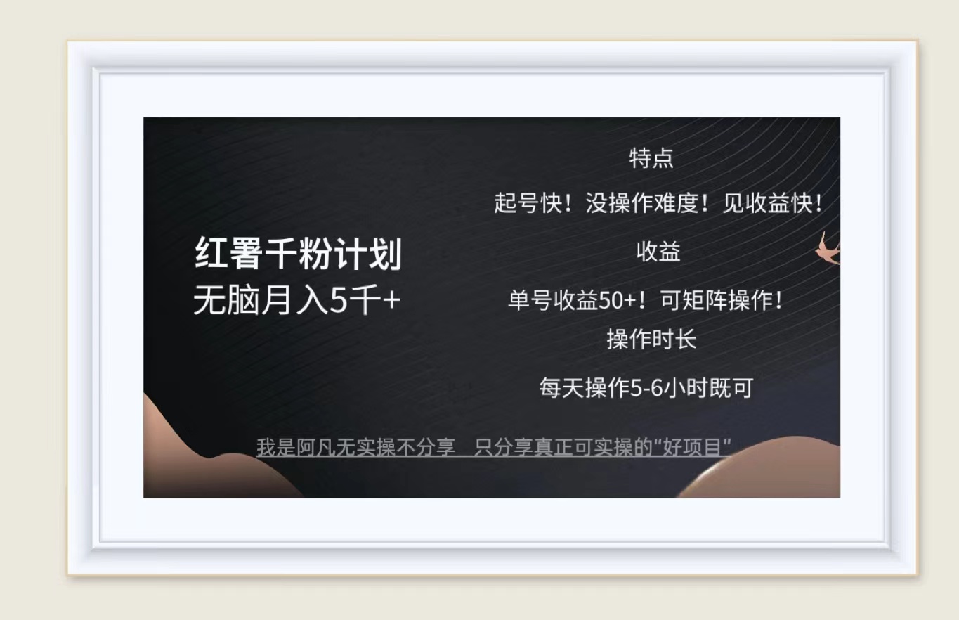 （12560期）红薯千粉计划无脑月入5千+！既做既赚！-番茄副业网