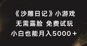 《沙雕日记》小游戏，无需露脸免费试玩，小白也能月入5000+【揭秘】-番茄副业网