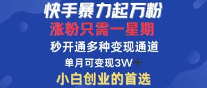 （12651期）快手暴力起万粉，涨粉只需一星期，多种变现模式，直接秒开万合，小白创…-番茄副业网