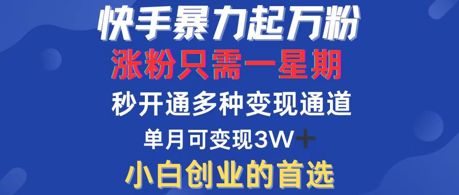（12651期）快手暴力起万粉，涨粉只需一星期，多种变现模式，直接秒开万合，小白创…-番茄副业网
