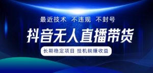 最新技术无人直播带货，不违规不封号，操作简单，小白轻松上手，可批量放大-番茄副业网