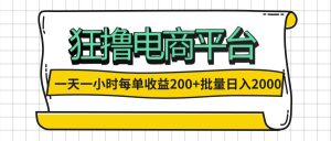 （12463期）一天一小时 狂撸电商平台 每单收益200+ 批量日入2000+-番茄副业网