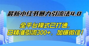 （12505期）最新小红书暴力引流法4.0， 全平台模式已打通，日精准引流300+，加爆微…-番茄副业网