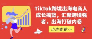 TikTok跨境出海电商人成长摇篮,汇聚跨境强者,出海打破内卷-番茄副业网