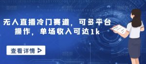 无人直播冷门赛道，可多平台操作，单场收入可达1k-番茄副业网