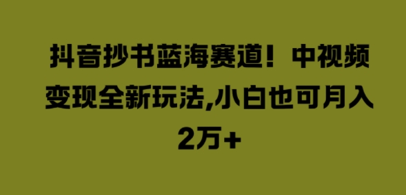 抖音抄书蓝海赛道，中视频变现全新玩法，小白也可月入2W+-番茄副业网