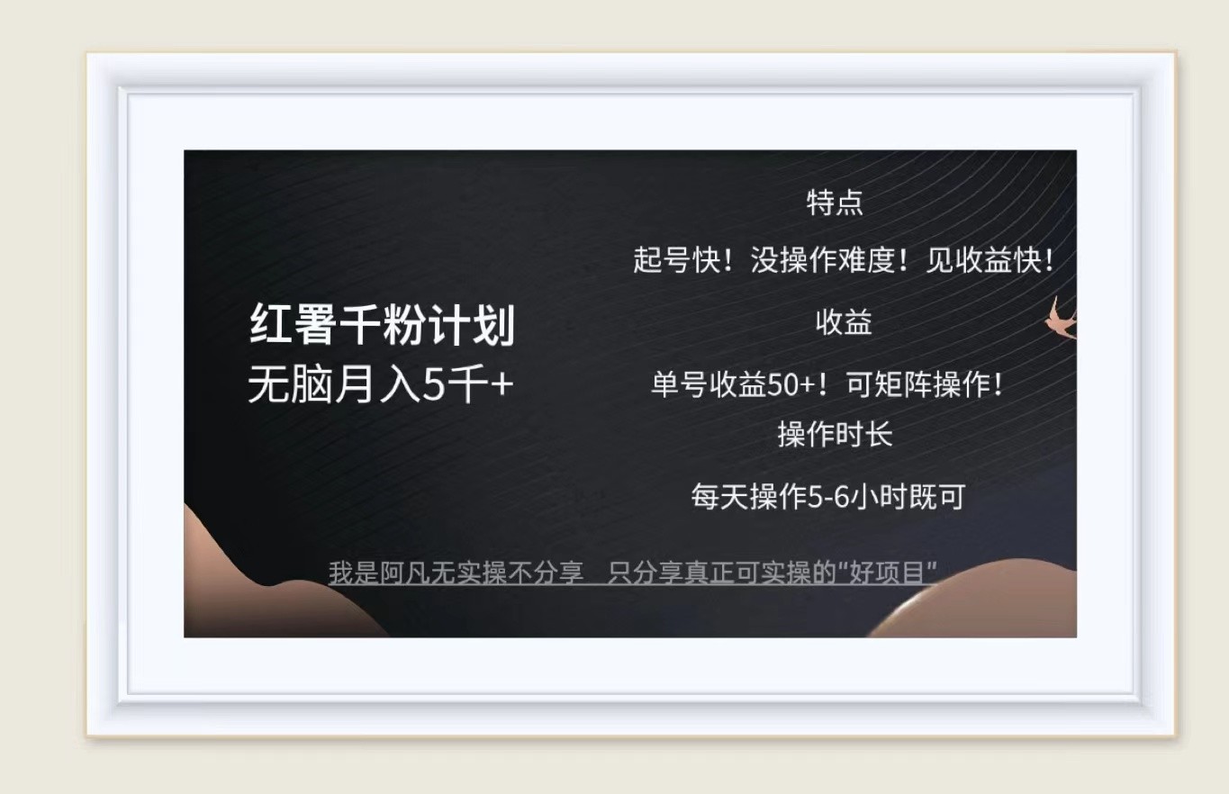 红薯千粉计划无脑月入5千+！既做既赚！-番茄副业网