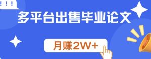 多平台出售毕业论文,月赚2W+-番茄副业网