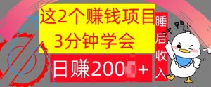 这2个项目，3分钟学会，日赚几张，懒人捡钱-番茄副业网