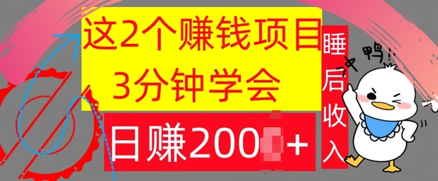 这2个项目，3分钟学会，日赚几张，懒人捡钱-番茄副业网