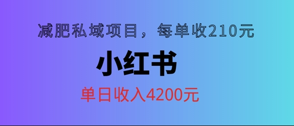小红书减肥私域项目，每单210元，单日可卖出15单，利润3150-番茄副业网
