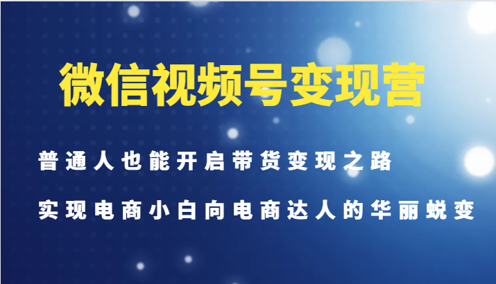 微信视频号变现营-普通人也能开启带货变现之路，实现电商小白向电商达人的华丽蜕变-番茄副业网