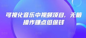 可视化音乐中视频项目，无脑操作赚点低保钱-番茄副业网
