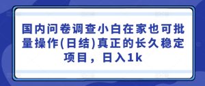 国内问卷调查小白在家也可批量操作(日结)真正的长久稳定项目,日入1k【揭秘】-番茄副业网