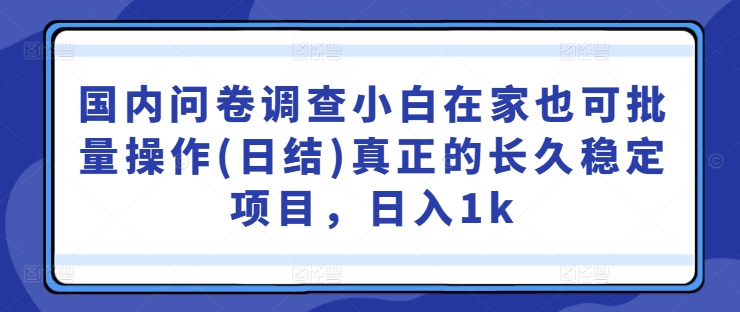 国内问卷调查小白在家也可批量操作(日结)真正的长久稳定项目，日入1k【揭秘】-番茄副业网