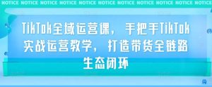 TikTok全域运营课，手把手TikTok实战运营教学，打造带货全链路生态闭环-番茄副业网