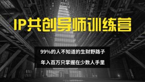 (12504期)IP共创导师训练营 99%的人不知道的生财野路子 只掌握在少数人手里-番茄副业网