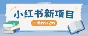 小红书新项目,一单199 一天买好几单,月入过W不是梦-番茄副业网