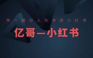 ​​带一部分人先冲进小红书，小红书开店、选品、爆款裂变-番茄副业网