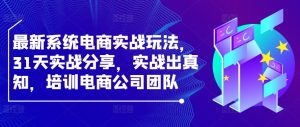 最新系统电商实战玩法，31天实战分享，实战出真知，培训电商公司团队-番茄副业网