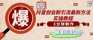 (12835期)轻松制作创业类视频。一天被动加精准创业粉500+(附素材)-番茄副业网