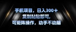 （13084期）手机项目，日入300 ，拷贝粘贴就可以，可引流矩阵实际操作，出手不动脑-番茄副业网
