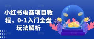 小红书电商新项目实例教程，0-1新手入门整盘游戏玩法分析-番茄副业网
