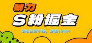 单人单机日引千粉，变现1k+，S粉流量掘金计划攻略【揭秘】-番茄副业网