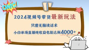 （12837期）2024视频号最新玩法，只需无脑读话术，小白单场直播纯收益也能达到4000+-番茄副业网