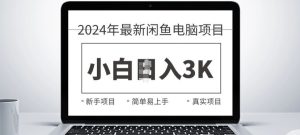 2024全新闲鱼电脑新项目,出手就可以吃肉的好项目-番茄副业网