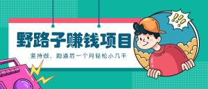 一个人就能操控的歪门邪道挣钱的项目，零成本零门槛一直做，跑通后一个月三五千！-番茄副业网