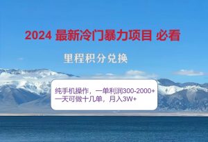 2024惊爆冷爆利,里程积分全新游戏玩法,高风口期,一单300 —2000-番茄副业网