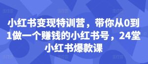 小红书的转现夏令营，陪你从0到1做一个挣钱的小红书号，24堂小红书爆款课-番茄副业网