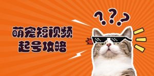 (13135期)萌宠-短视频起号攻略:定位搭建推流全解析,助力新手轻松打造爆款-番茄副业网