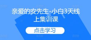 亲爱哒安先生-新手3无线天线上培训课-番茄副业网