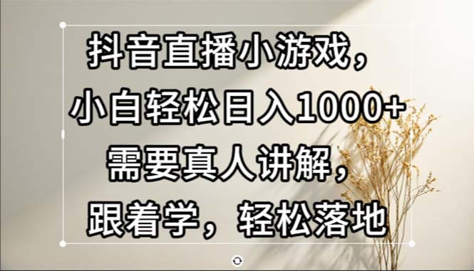 （13075期）抖音直播间游戏，新手轻轻松松日入1000 必须真人版解读，跟着做，轻轻松松落地式-番茄副业网