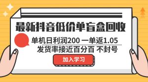 （13092期）最新抖音廉价单潮玩盲盒回收利用 一单1.05 单机版日盈利200 绿色安全防封号-番茄副业网