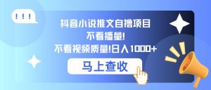 抖音小说推文自撸项目，不看播量，不看视频质量，日入几张-番茄副业网