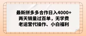 （12869期）拼多多最新协作日入4000 二天销售量过百单，无培训费、老经营代实际操作、新手褔利-番茄副业网