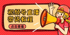 视频号直播带货教程：选品思路与话术拆解/掌握多种带货套路/提升直播效果-番茄副业网