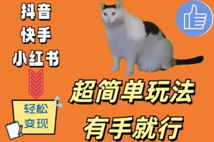 超级简单游戏玩法，有手就行，靠猫咪视频日入500 【揭密】-番茄副业网