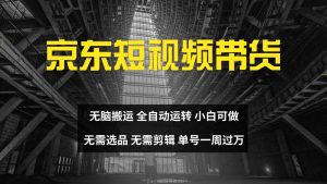 京东短视频达人带货，无脑搬运，无需选品，矩阵操作，单号一周过万-番茄副业网